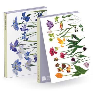 Elizabeth Blackadder Floral Notecard Wallet