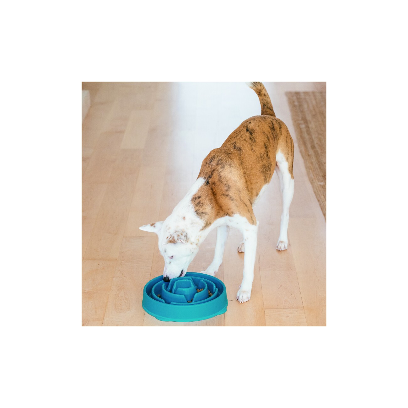 Outward Hound Fun Feeder Slo Bowl