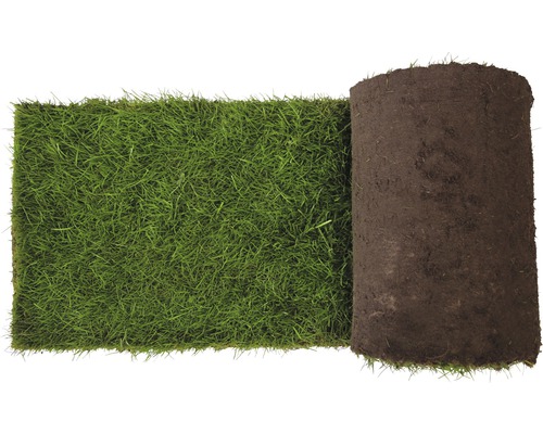 Premium gerold graszoden, bestelhoeveelheid 30-39 m², dagelijks vers gesneden