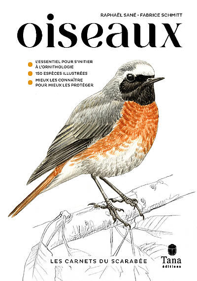 TANA EDITIONS - OISEAUX