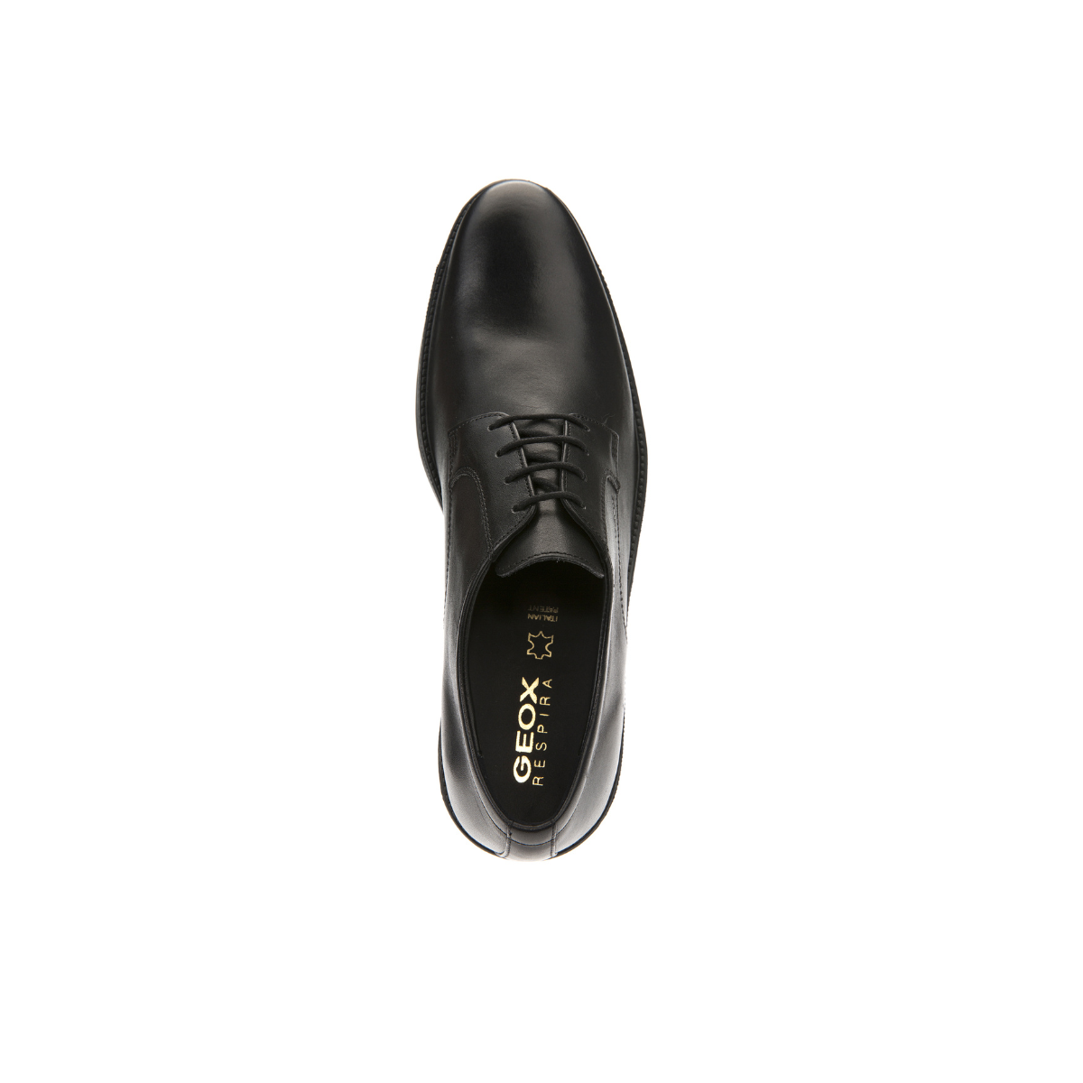 Geox - Derbies UOMO CARNABY Noir