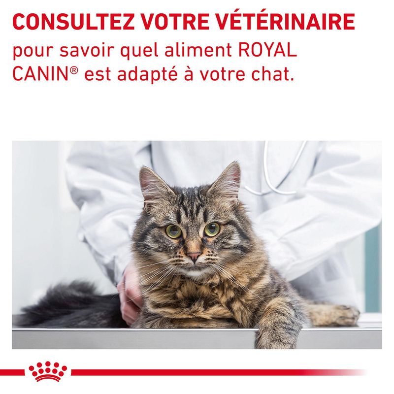 Royal Canin Expert Fibre Response