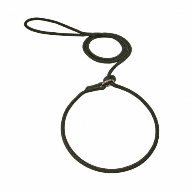Laisse lasso ronde en corde tressée