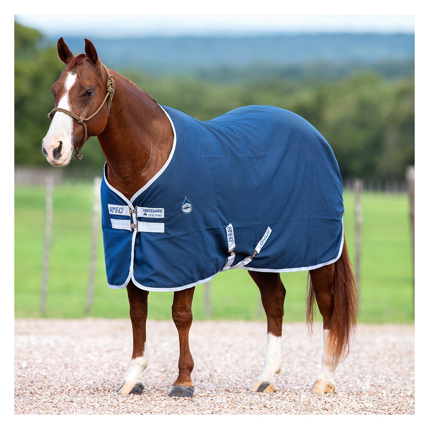 Horseware Stalldecke AMIGO Stable Sheet - navy/silver