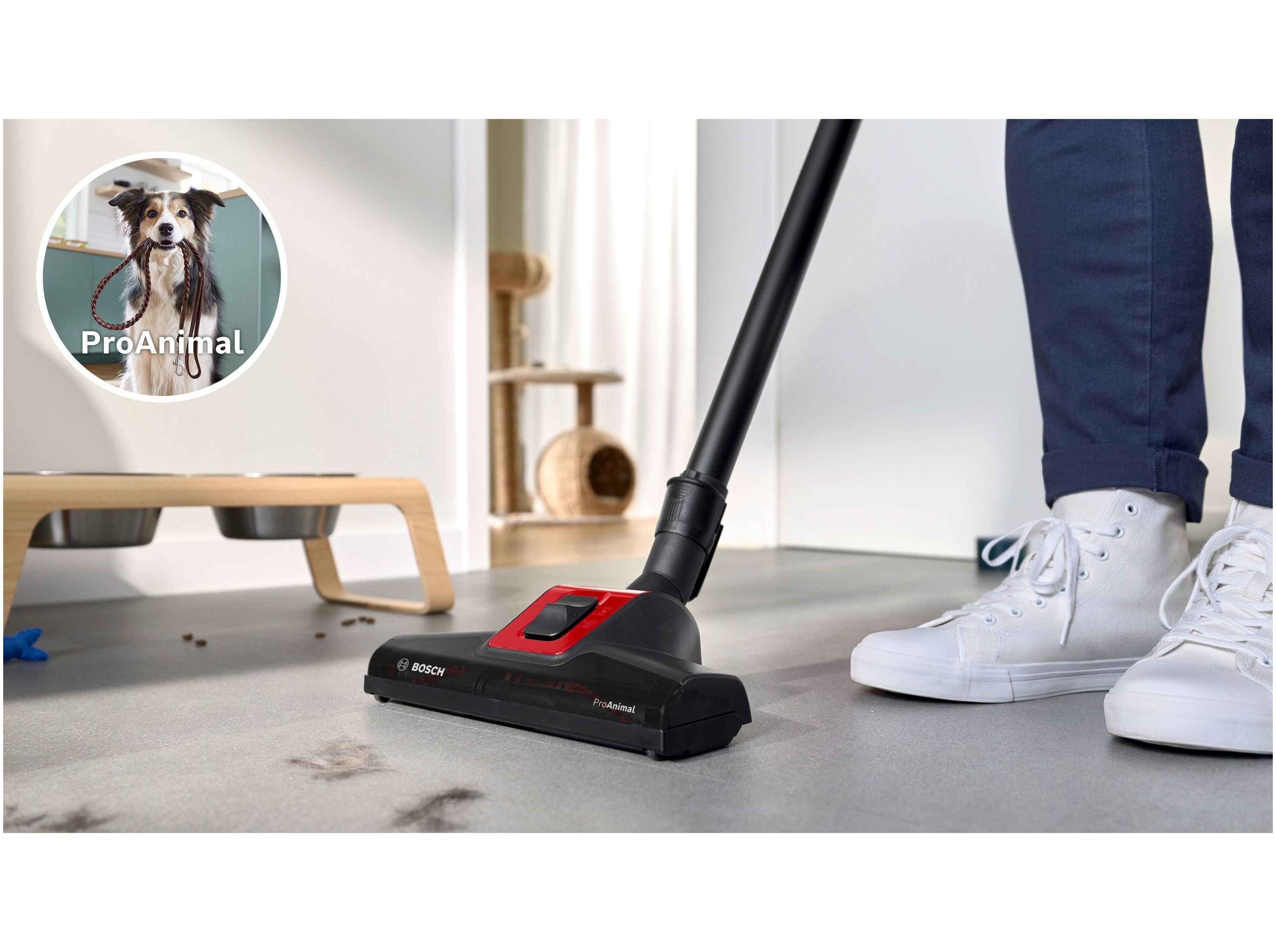 ASPIRADOR SEM SACO BOSCH BGS7PET1 PROANIMAL SERIE 8