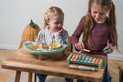 Dantoy Musikksett Wooden In Gift Box