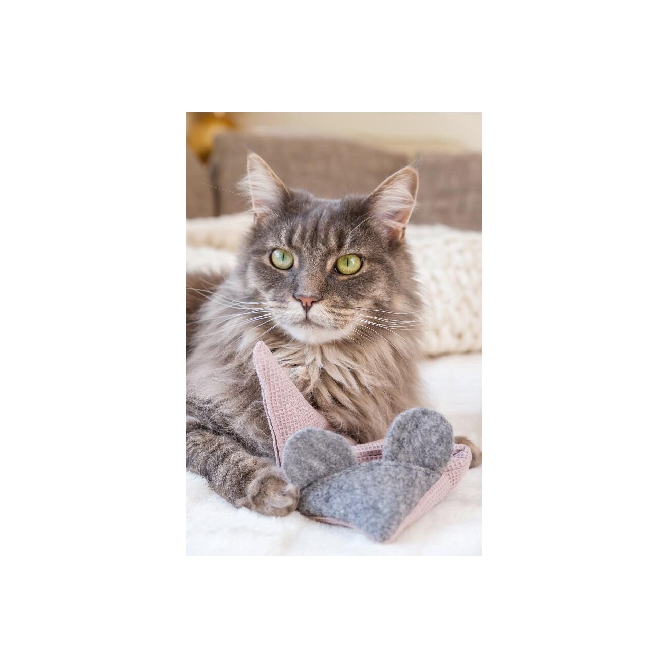 Kater Kasimir 4 x Mausbert - Die 2-in-1 Spielmaus für Katzen, handgemacht aus BIO-Baumwolle mit BIO-Katzenminze-, BIO-Baldrian- und Matatabi-Füllung