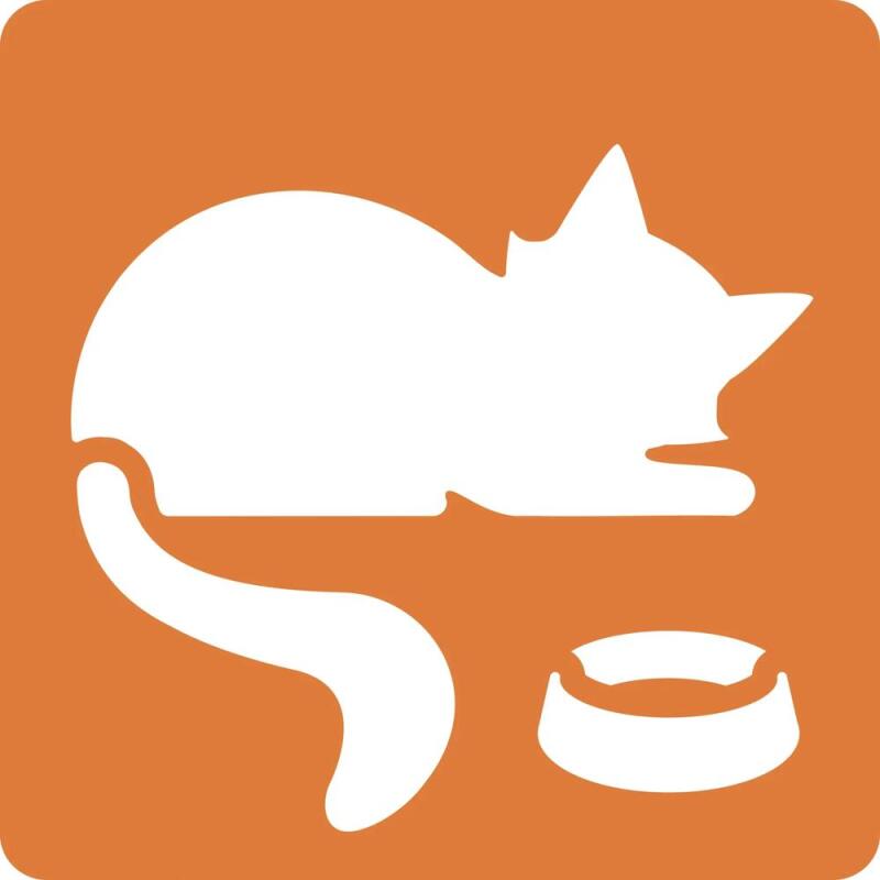 Set de 6 pochoirs enfants, Chats - Orange