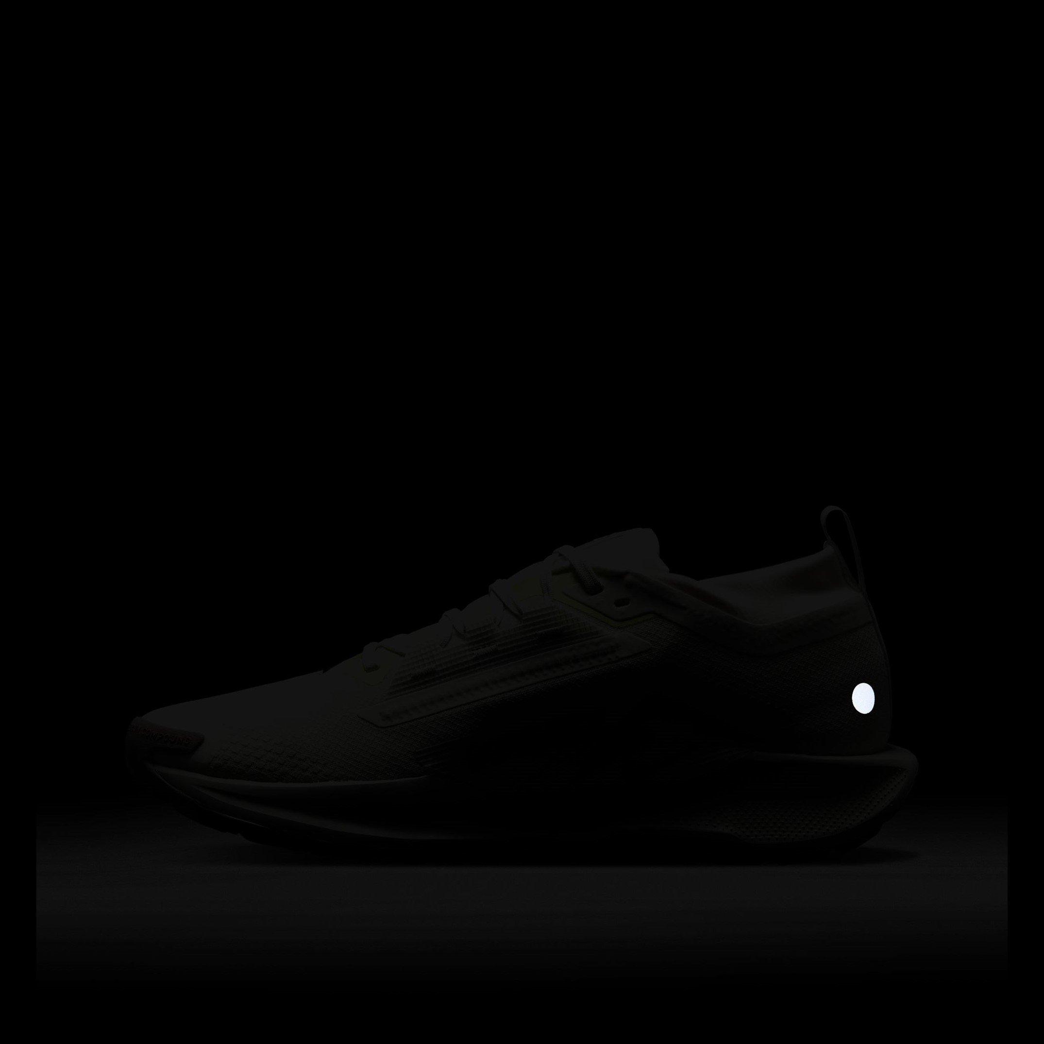 Nike Pegasus Trail 5 GORE TEX Running Shoes Mens
