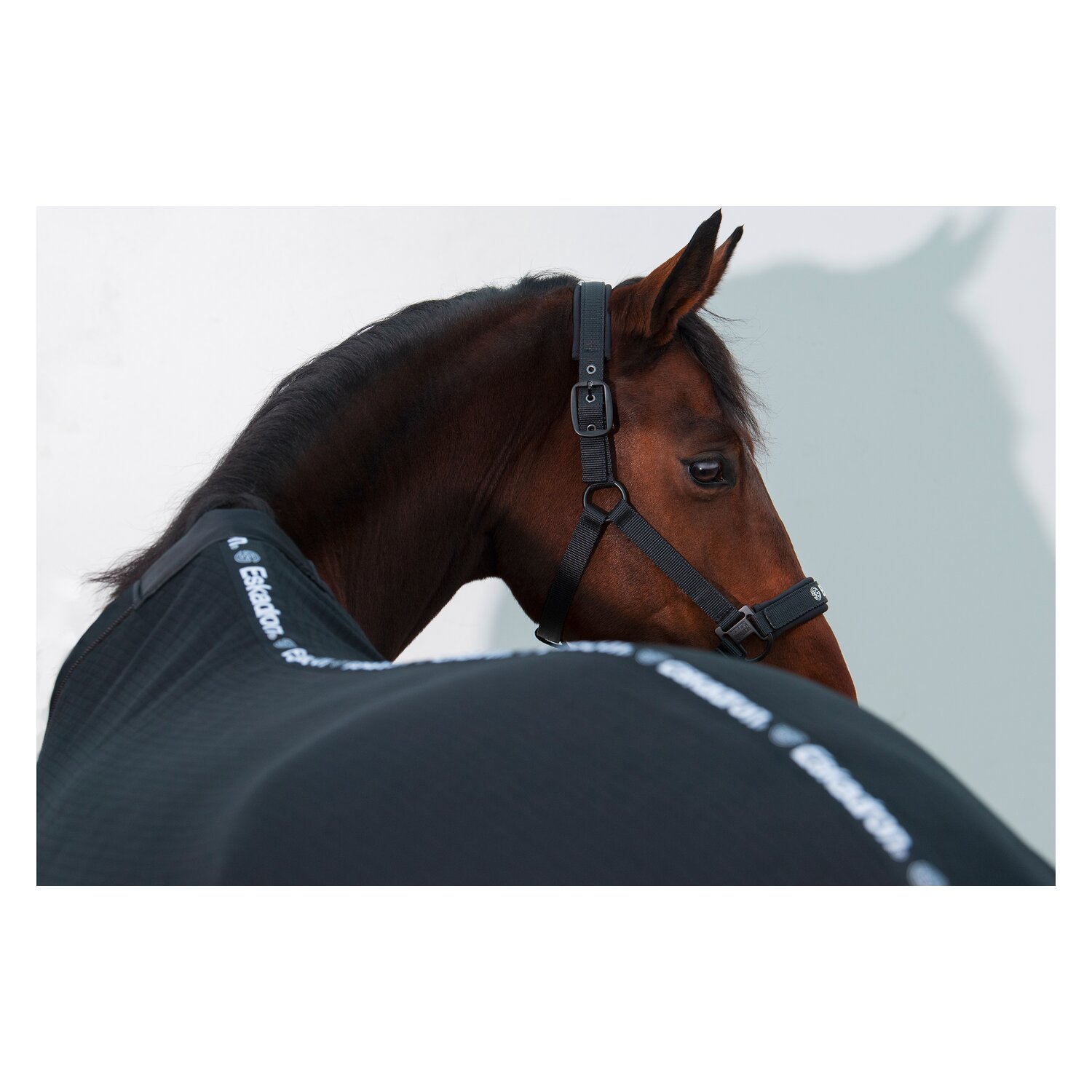 ESKADRON Dynamic Halfter Double Pin  - black