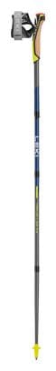 Bâtons de Marche Nordique Pliables Leki Traveler Fx One Carbon Gris/Bleu