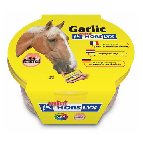 Horslyx Mini Liksteen
