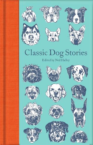 Classic Dog Stories - Macmillan Collector's Library (Hardback)