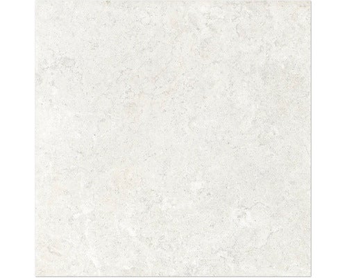 Wand- en vloertegel Jurassic avorio 60x60 cm