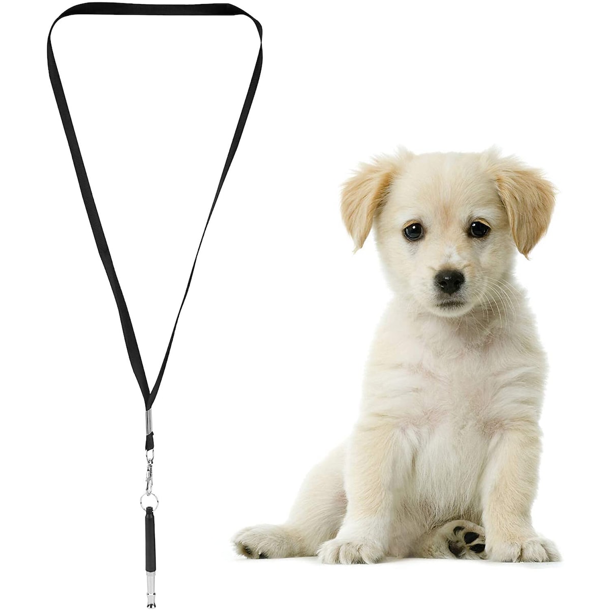 Hundefløyte Hundetrening fløyte hundetrening svart
