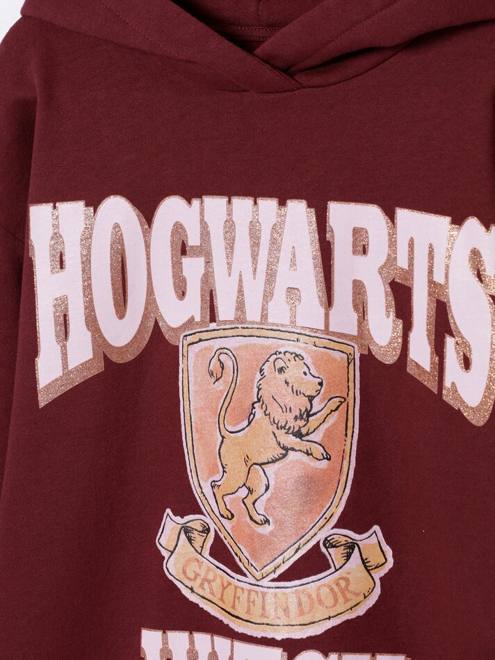 Vestido de pelúcia com capuz estampado Harry Potter © &™ WARNER BROS - Bordô