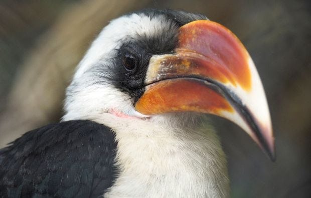 Fotokurs in Hamburg als besondere Geschenkidee