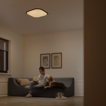 Philips plafondlamp Cavanal Wit 29,8 cm