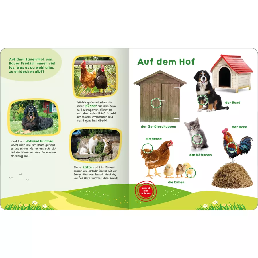arsEdition Mein großes Geräuschebuch – Bauernhof