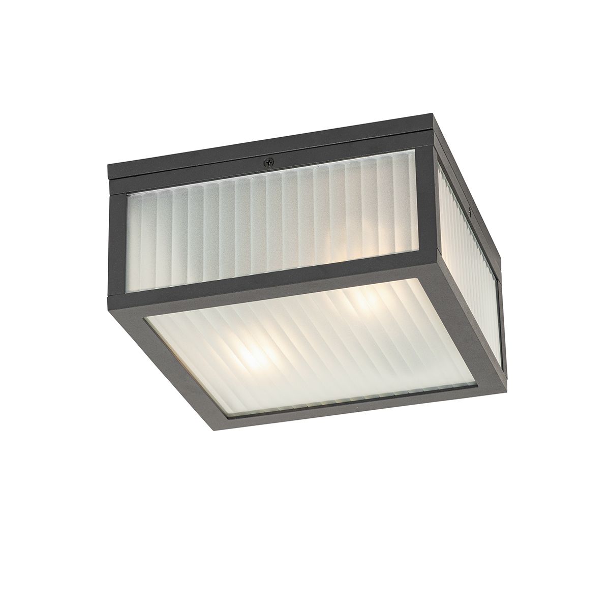 Buiten plafondlamp zwart met ribbel glas 2-lichts IP44 - Charlois