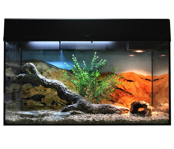 Lucky Reptile Starter Kit Komplettset