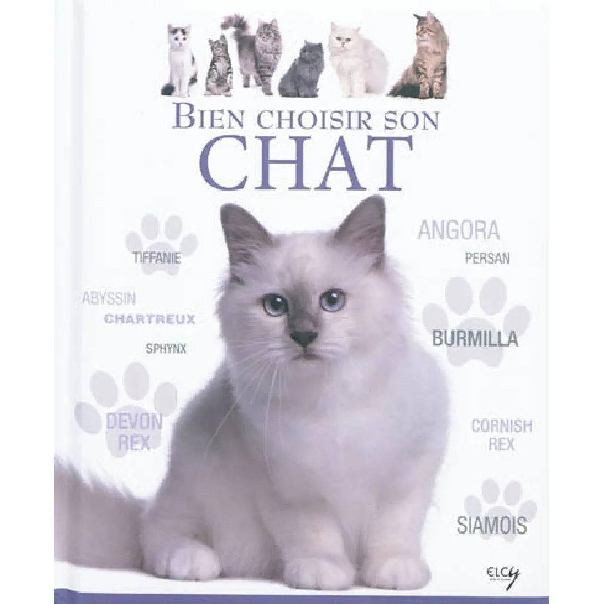 Bien choisir son chat : guide des animaux · Occasion