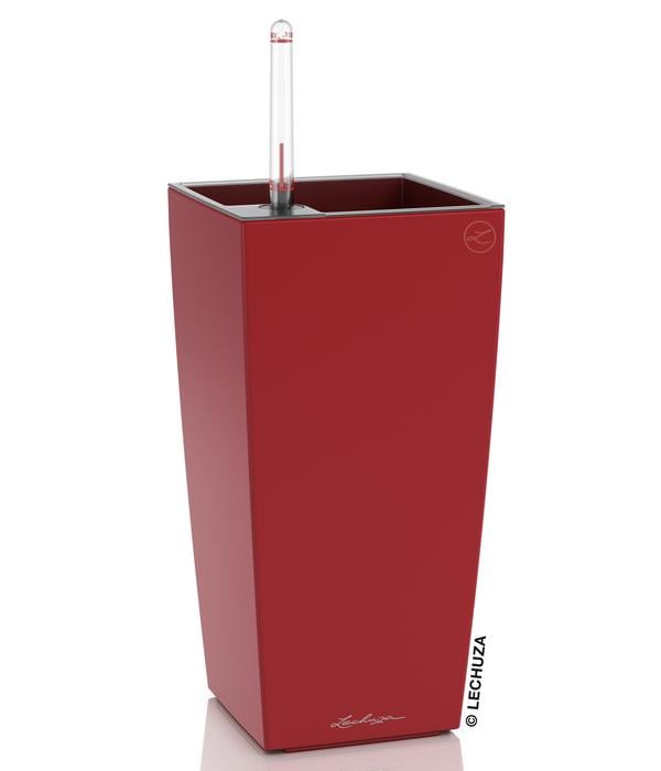 LECHUZA® MAXI/MINI-CUBI, All-in-One-Set, matt