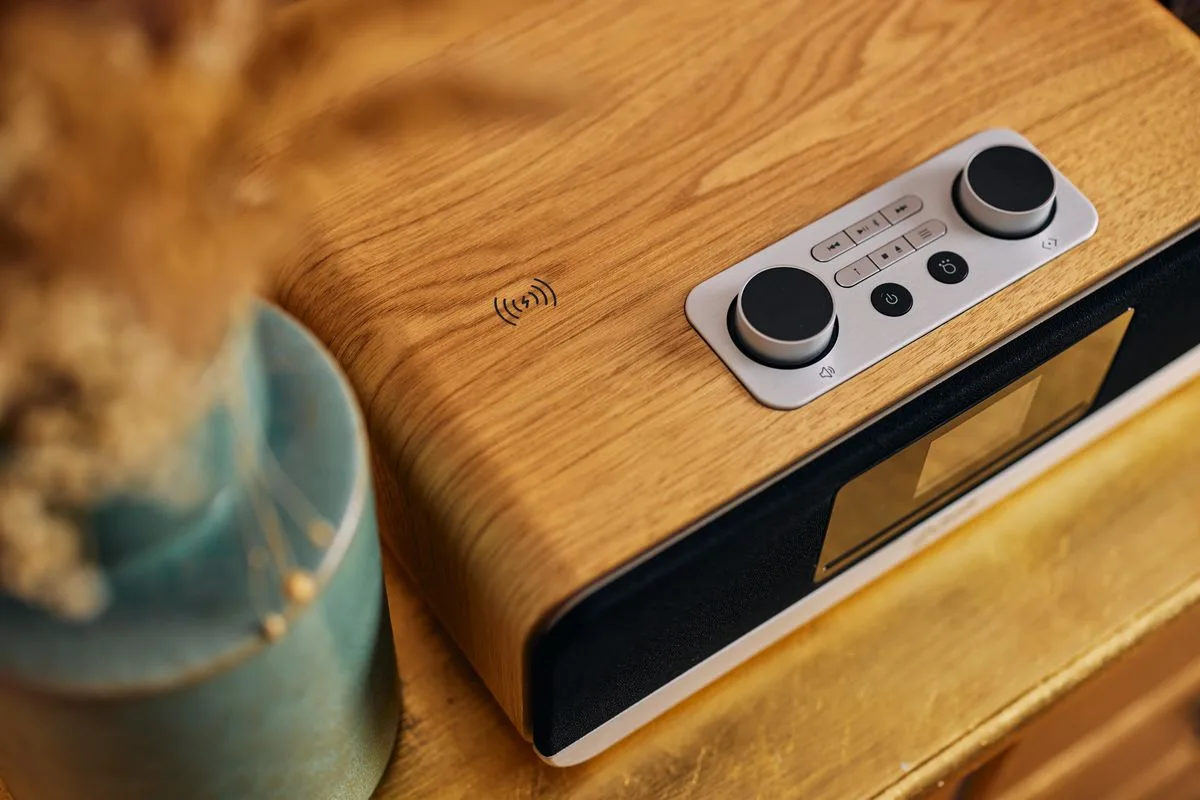 Roberts Blutune 300 Cerisier Enceintes connectées