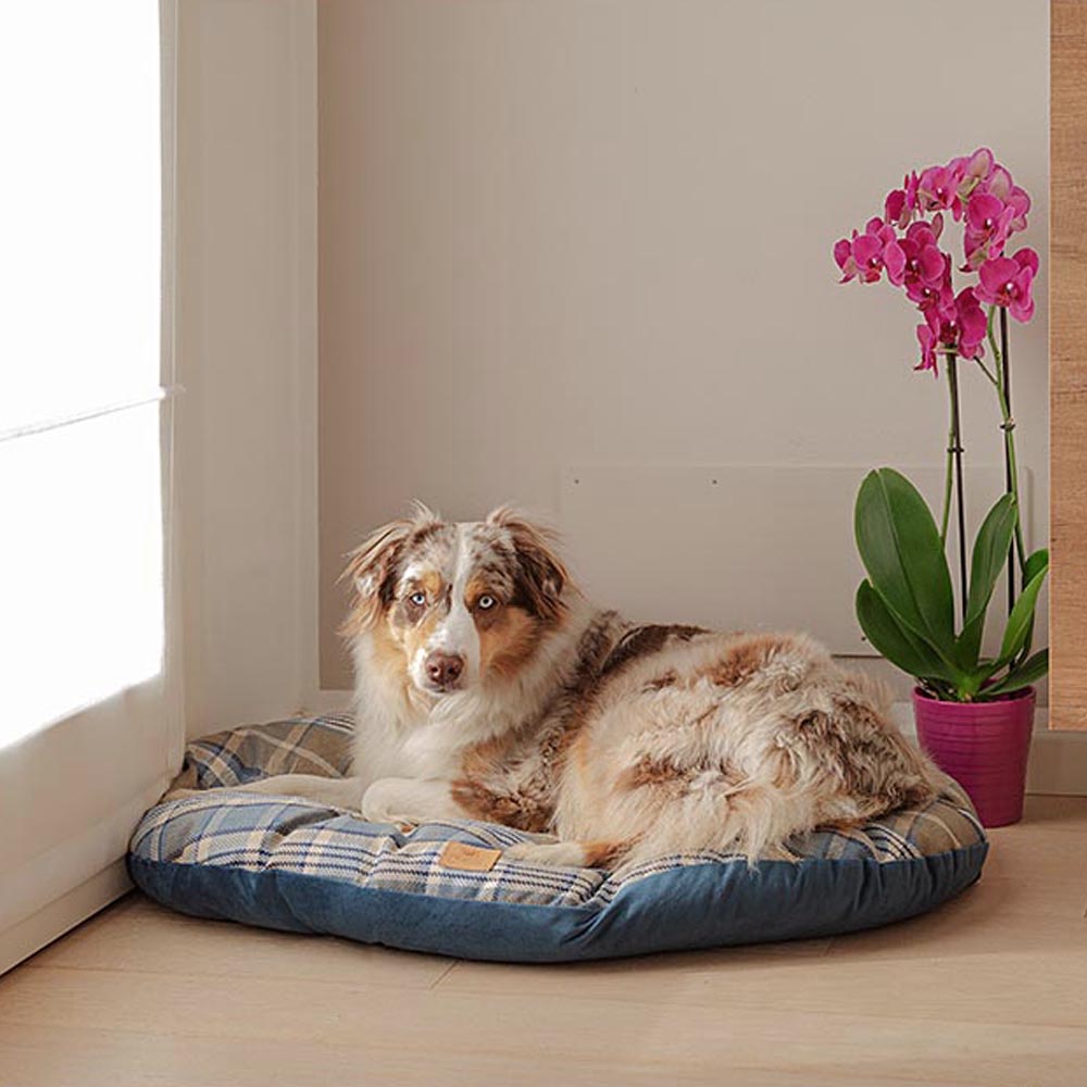 Coussin rembourré pour chiens et chats scott 89/10, double-face, écossais, velours doux, lavable, bleu