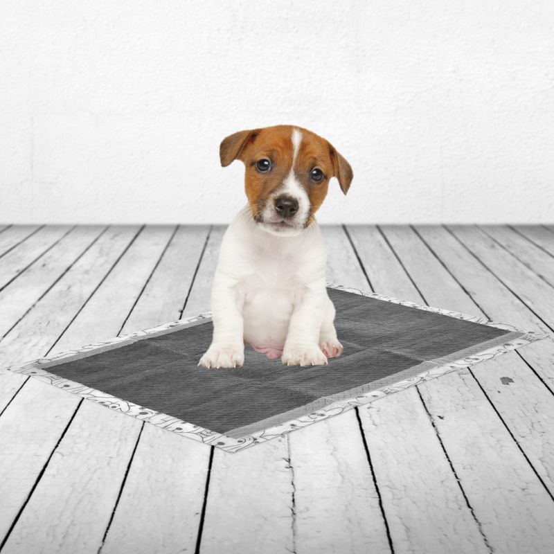 Tapis absorbants Savic Puppy Trainer avec charbon actif pour chiot