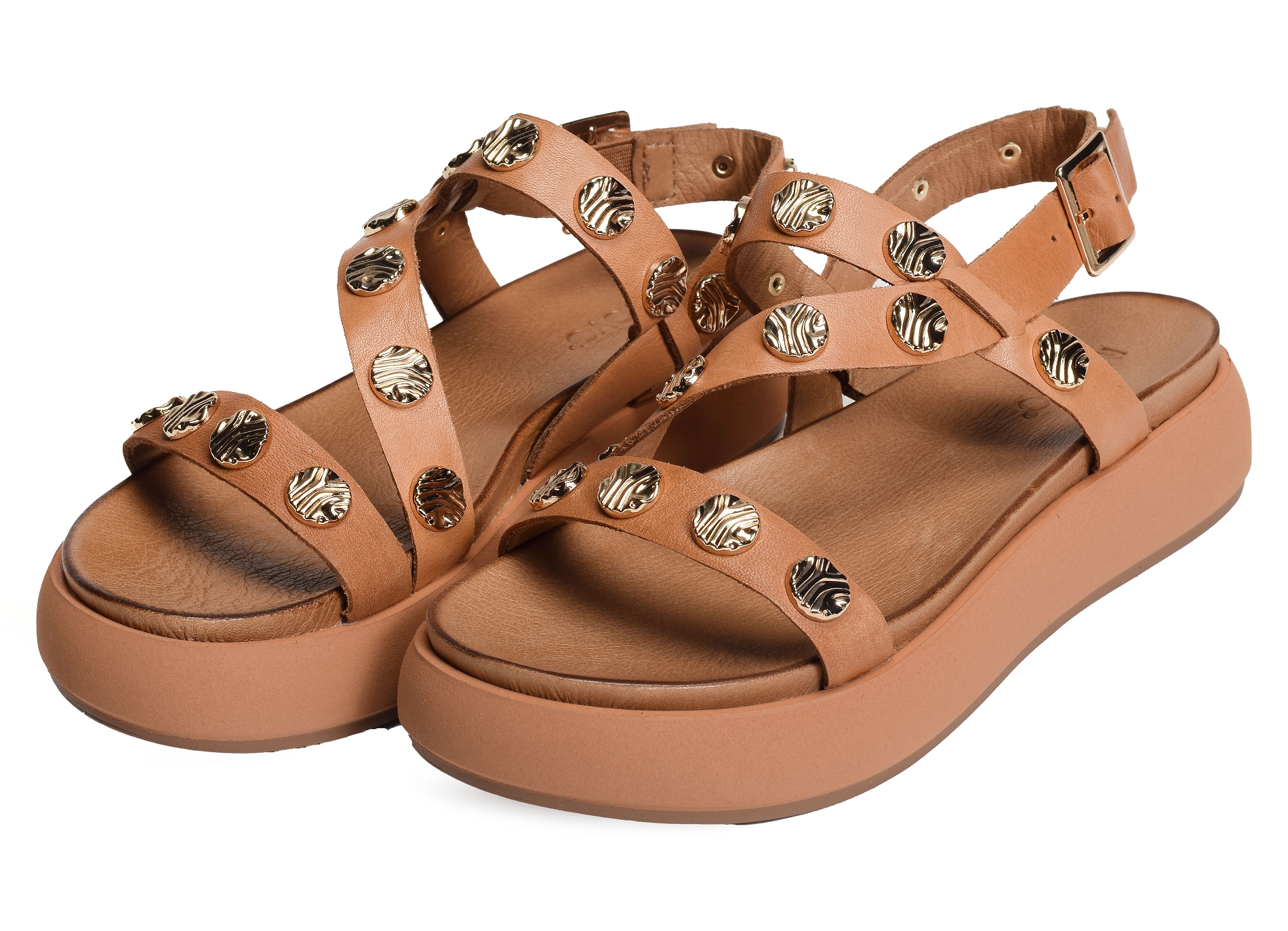 A96019 camel