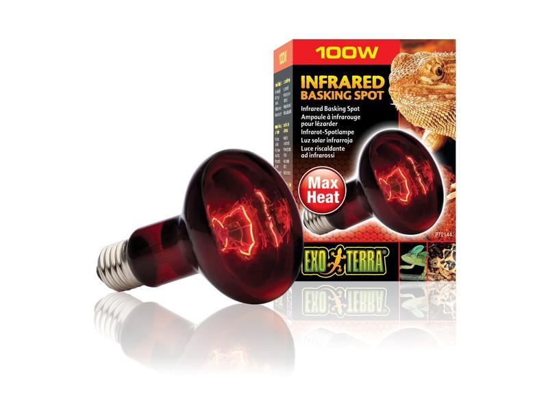 Exo Terra Terrarienlampe Infrared Basking Spot E27, R25/100 Infrarot-Spotlampe
