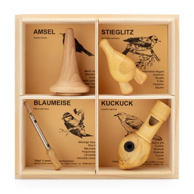4 Vogelstimmen