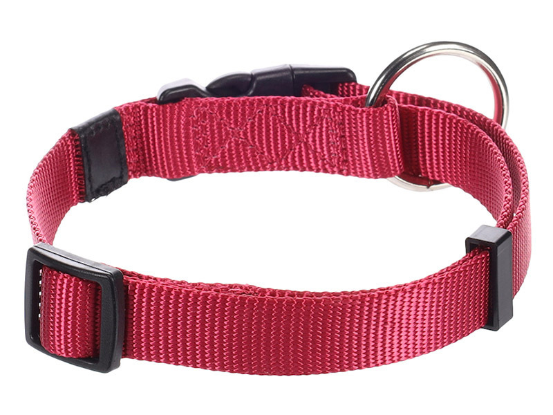 Flamingo Ziggi Cherry Red halsband - M