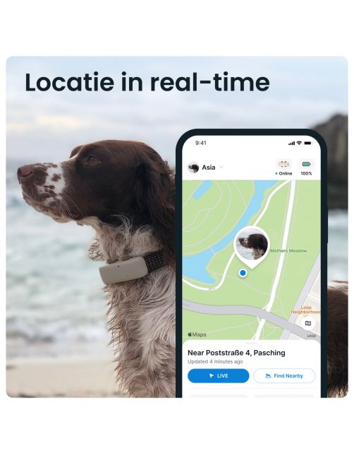 Tractive Gps Dog 4 Hondentracker En Activiteitenmonitor 17x71x28 mm - Hondenlocatievinder