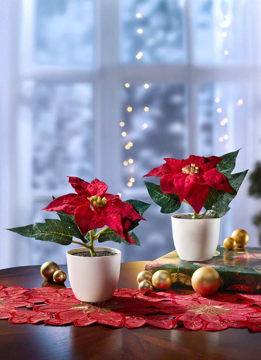 Mini-Poinsettia-Blüten im Topf, 2er-Set