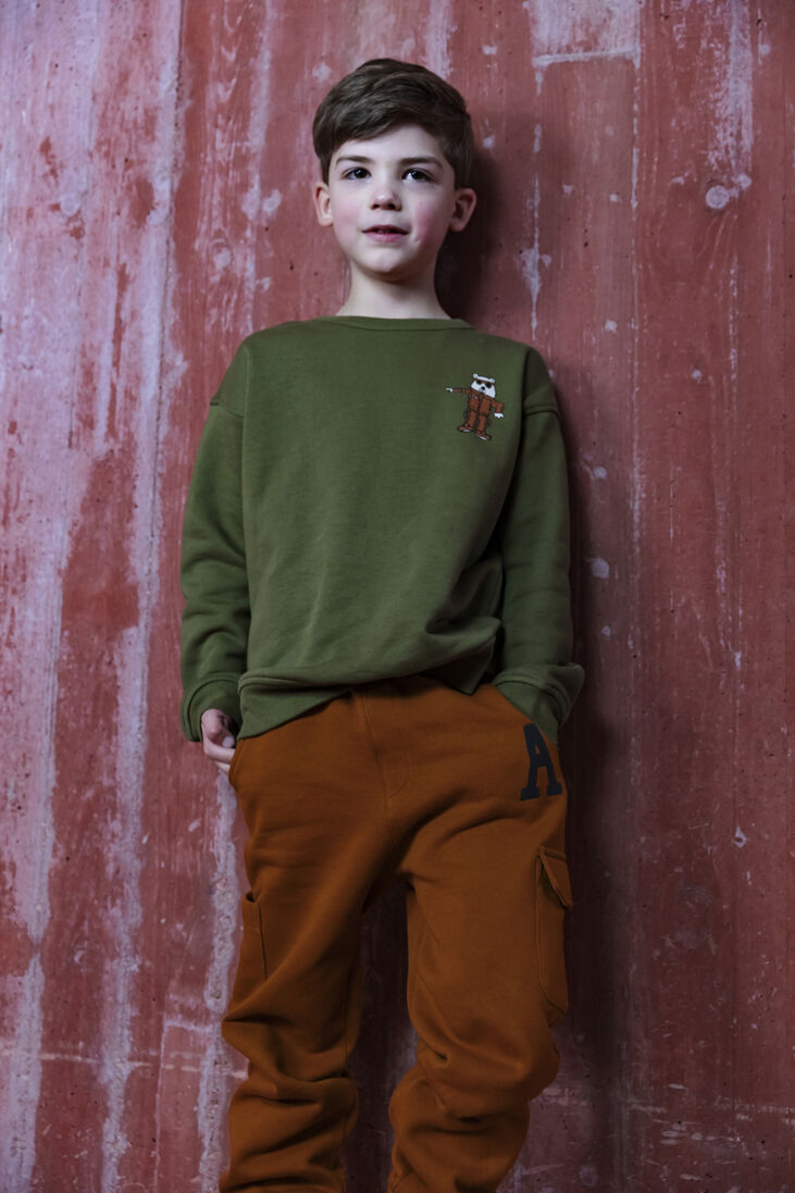 AMMEHOELA groene ammehoela sweater am.rocky.55