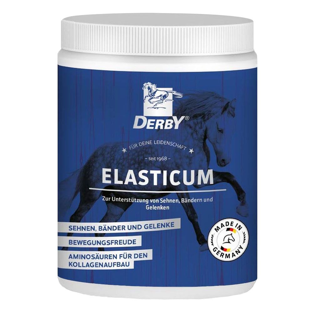 Derby Elasticum für Pferde