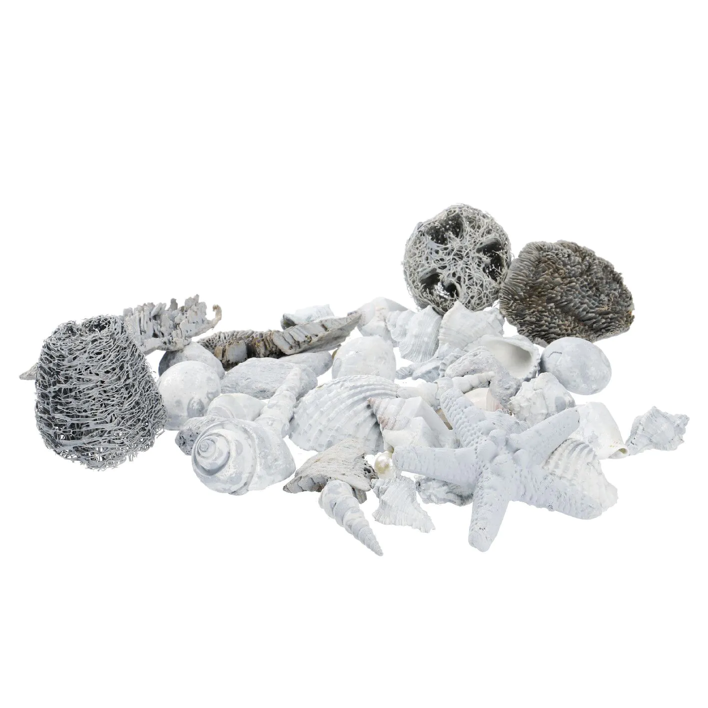 Potpourri Seestern/Muscheln, hellblau