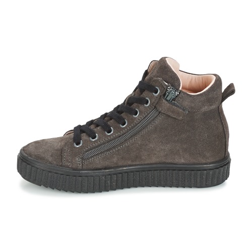 Acebo's - LONDON - Gris