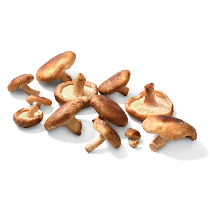 AH Biologisch Shiitake