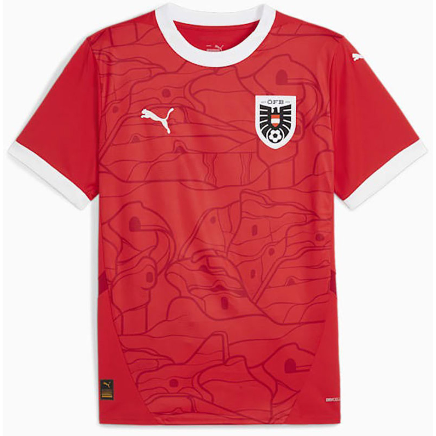 Puma Oostenrijk Thuis Shirt 2024/2026