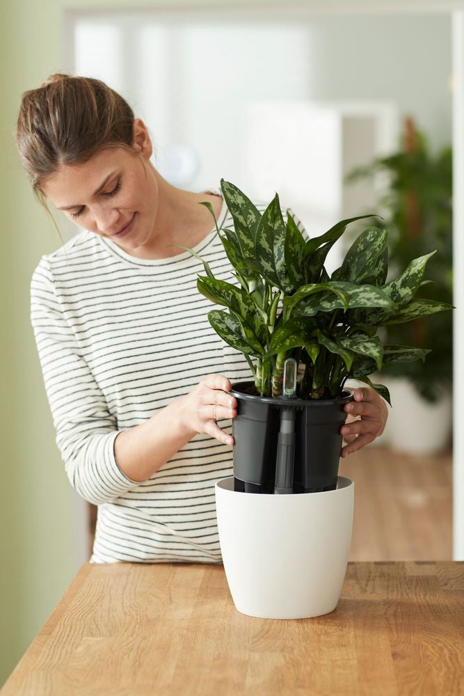 Elho plantcontainer Self-watering Insert zwart D 33,3 H 30,7 cm