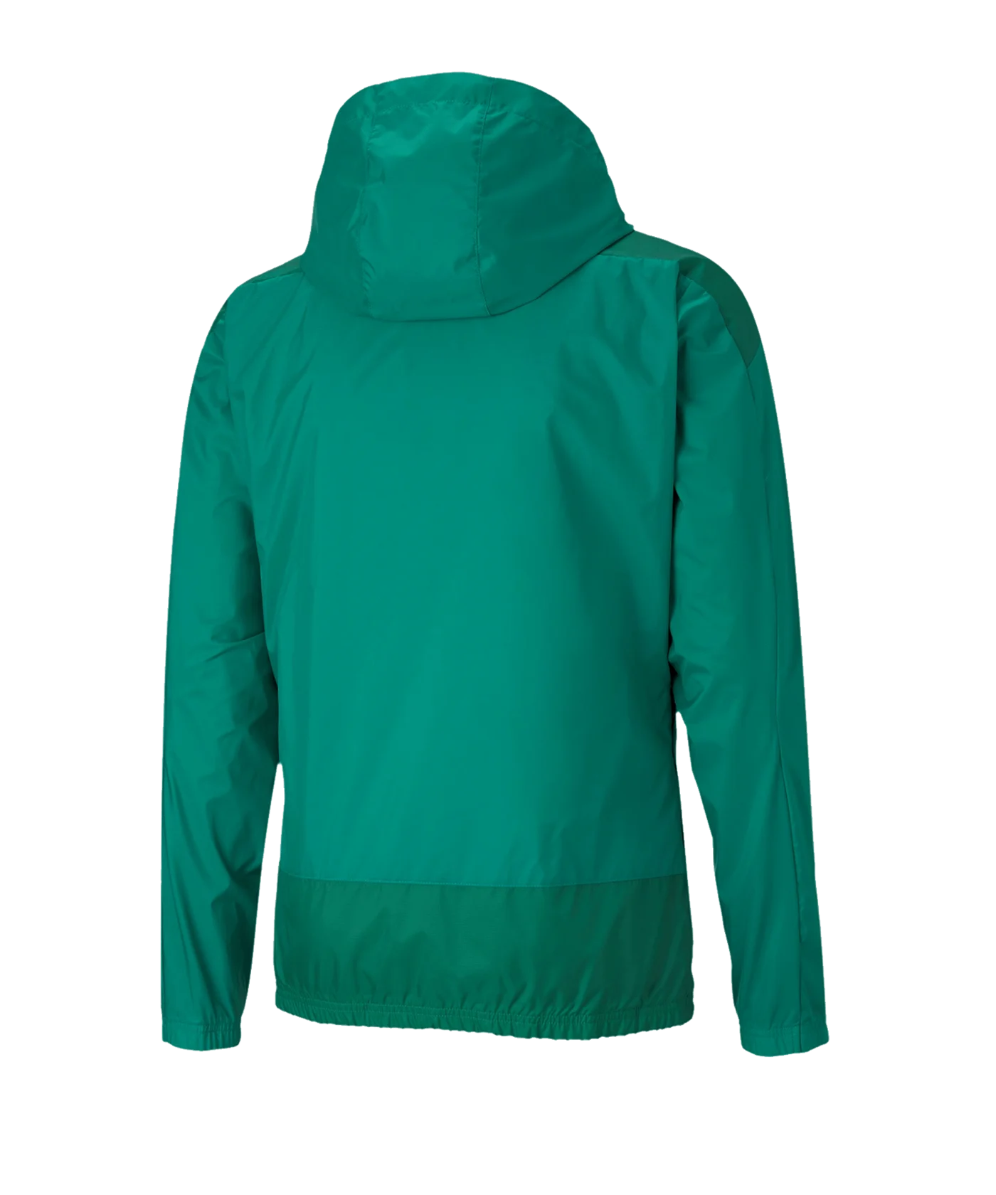 PUMA teamGOAL 23 Training Regenjacke Grün F05