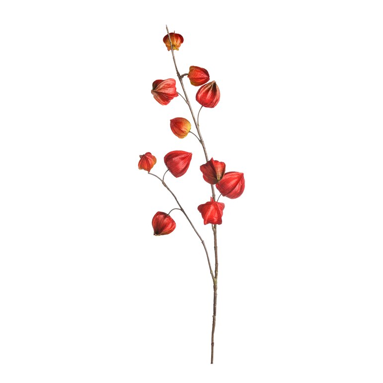 brombeer, L 95 cm