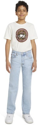 Levi's 501 Original Jeans, Luxor Last