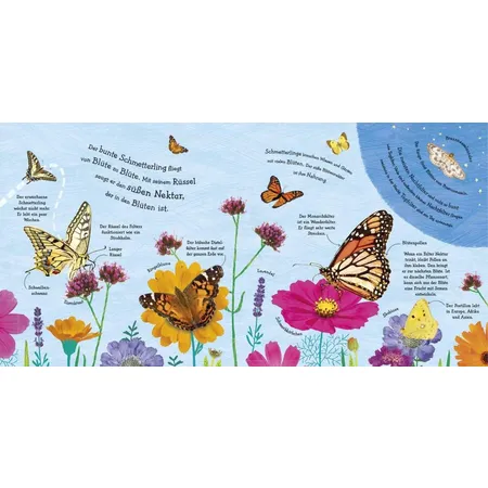DK Verlag Wie wird die Raupe zum zum Schmetterling?