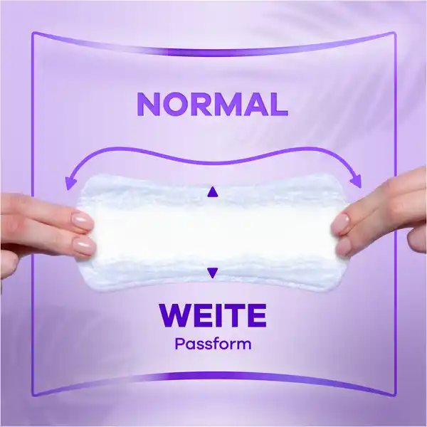Daily Expert Protect Slipeinlagen Normal mit Duft Big Pack