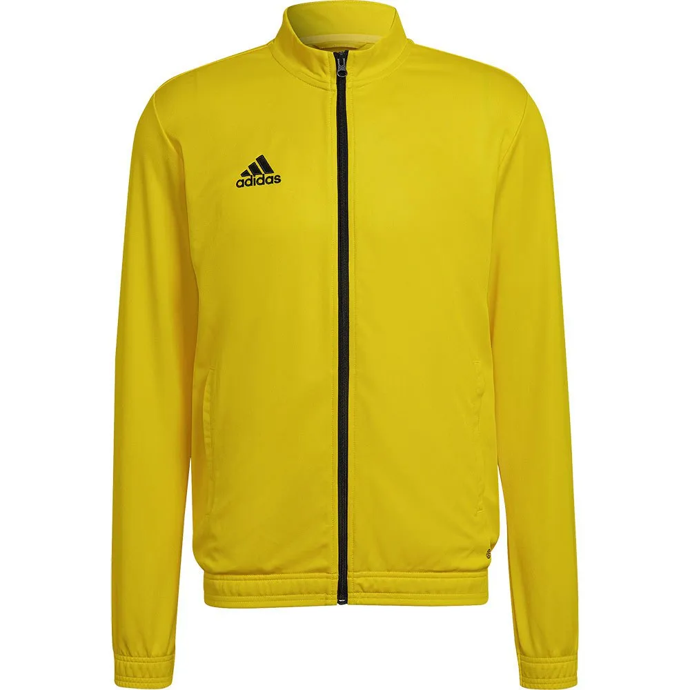 jaqueta adidas Entrada 22