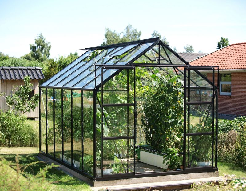 Vitavia - Uranus - Tuinkas - Hoogte 2,48m - Ruim en Veelzijdig
